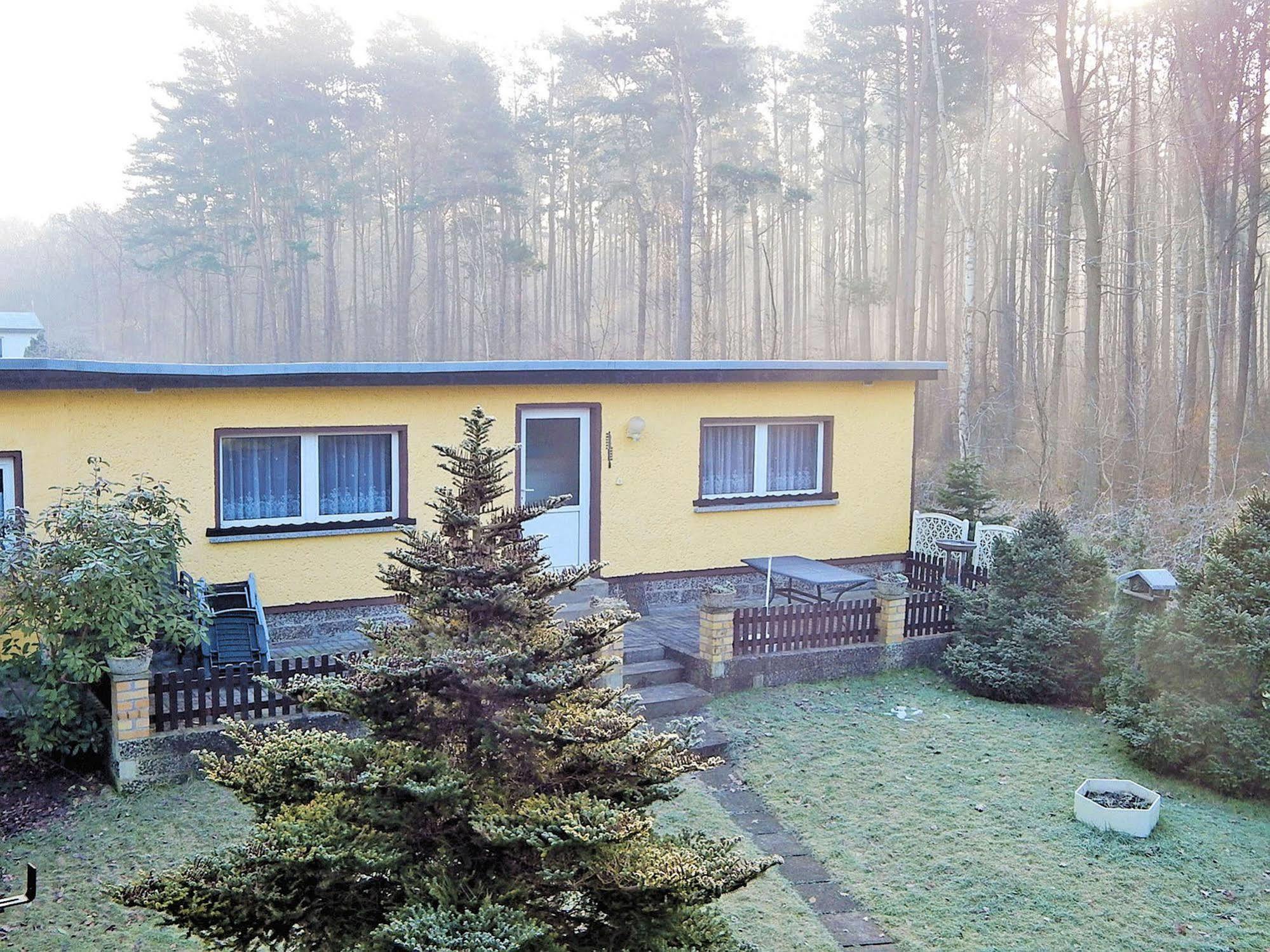 Ferienhus Baabe Fewo 01 Terrasse, Sauna- Und Schwimmbadnutzung Im Ahoi Sellin Exteriör bild